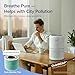 LEVOIT Air Purifier