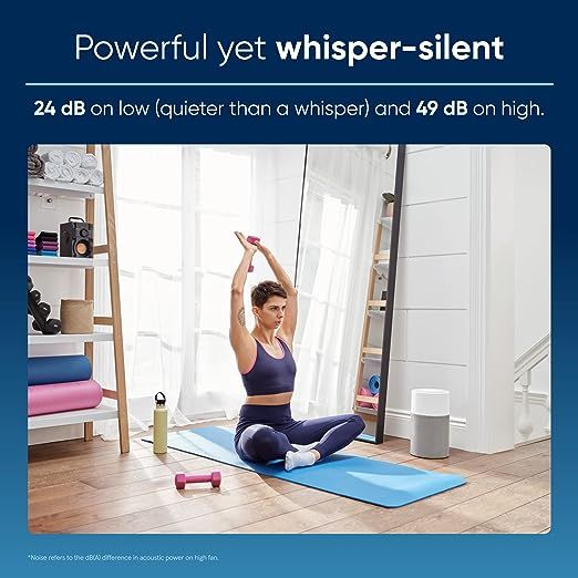 BLUEAIR Air Purifiers